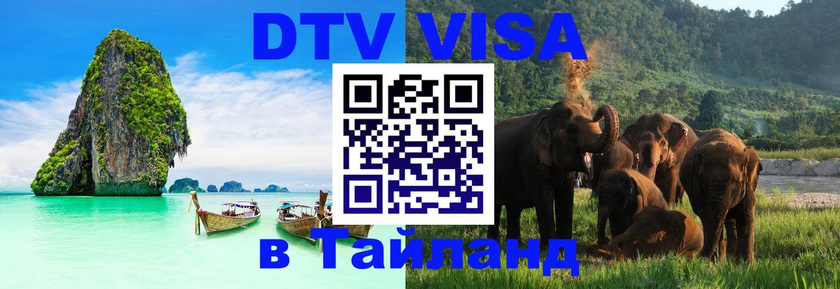 Оформление DTV визы под ключ: стоимость и тарифы, только загранпаспорт - 10.01.2026 